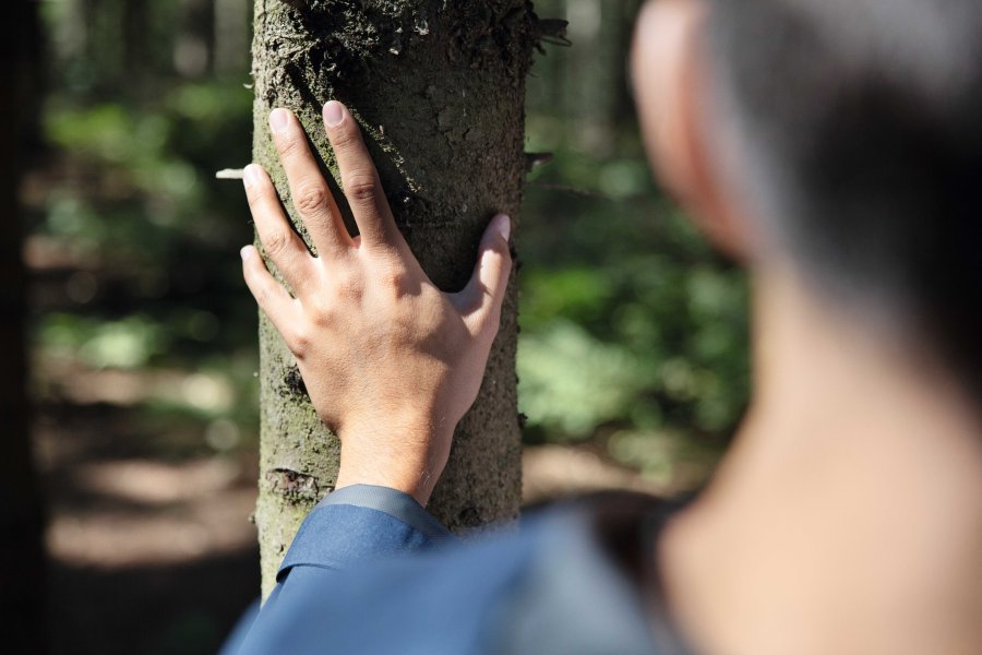 Tetra Pak refuerza su compromiso ambiental con envases certificados FSC™ en Centroamérica y el Caribe